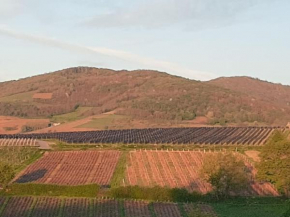 La Roche - Face aux vignobles -